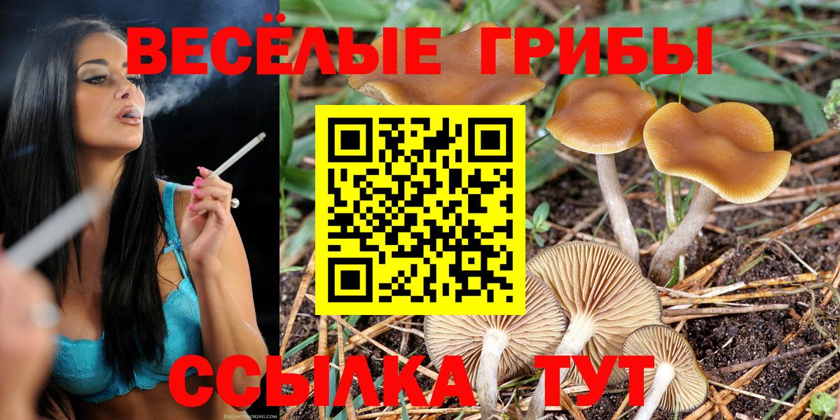 Гусиноозёрск  Галлюциногенные грибы Psilocybe  наркотики  Вход с VPN  Галлюциногенные грибы ЛСД 