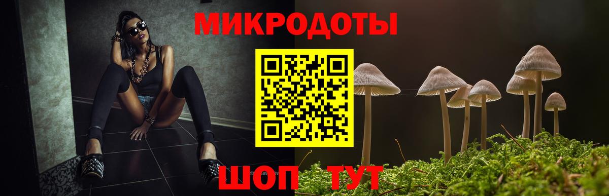 Галлюциногенные грибы GOLDEN TEACHER Гусиноозёрск